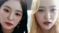 鲨鱼song irene&yeri