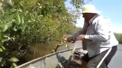 Pescadores Brasileiros Têm <Encontro Imediato>Com Anaconda Gigante