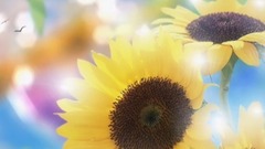 心态好,一切都好