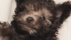 金泰妍的Zero更新第二十三则