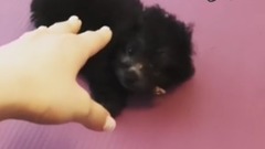 金泰妍的Zero更新第二十五则