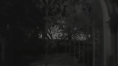 <温柔的倾诉>- 箫吹奏