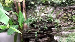 无锡<岁月梦华>