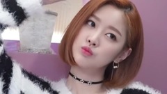 郑美美生日祝大家新年快乐