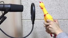 Havana 惨叫鸡演唱