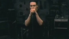 Between Angels And Insects