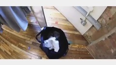 欧洲旅行游记 泰古tv1