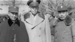 飞向自由的一粒沙