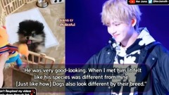 [防弹少年团]泰亨在养炭之前咨询过训狗员如何做个好的主人