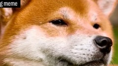 Dogecoin Was Created As A Parody, Now It's Worth More Than $1 Billion _ CNBC