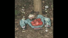 The Van Jets - Boy To Beastie