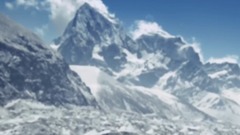 巅峰寒冬的生命