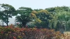 世勋更新INS视频一则