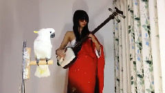 残酷天使的行动纲领