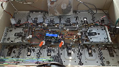 残酷天使的行动纲领