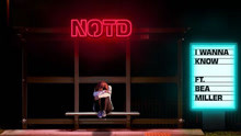 Notd & Bea Miller - I Wanna Know 歌词版