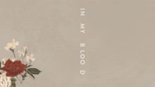 Shawn Mendes - In My Blood 试听版