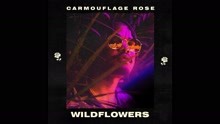 Wildflowers (Audio)