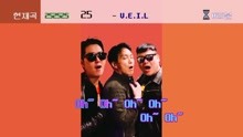 V.E.I.L - 25(Twenty Five)