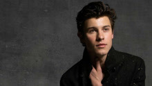 Shawn Mendes - In My Blood