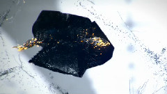 La Guerre En Dentelle