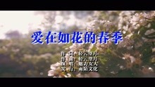  - 魅力女人-爱在如花的春季MTV