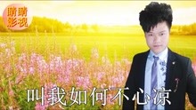  - 云南山歌：人生如梦蝶恋花