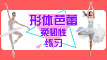 - 芭蕾舞教学柔韧性练习
