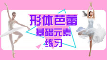  - 芭蕾舞教学基础入门