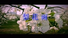  - 高音敏子-梨花雨MTV
