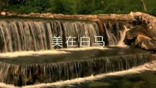  - 美在白马-达娃卓玛
