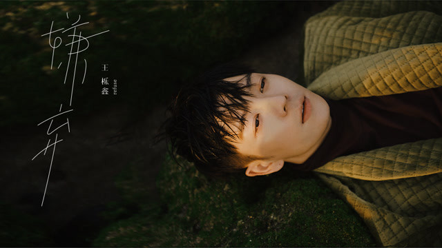 王栎鑫 - 嫌弃