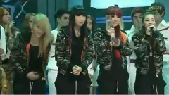 2NE1 - Can't Nobay安可