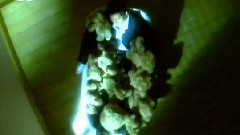 当我知道你们相爱 MTV版