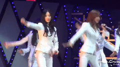 Mr.Mr & The Boys & Genie & Hoot