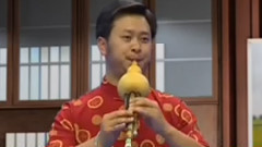 金色的孔雀 葫芦丝独奏