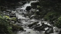 To The Moon And Back