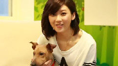 台北市内湖动物之家收容动物推广认养宣导短片