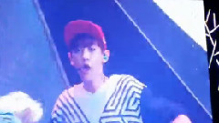 History 鹿哥不听话的帽子