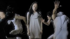 The Heavy Metallic Girl