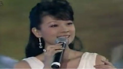 神州水乡第一镇