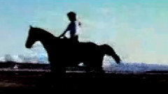 The Island of Children's Children