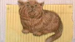 They Made Frogs Smoke 'Til They Exploded