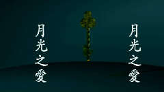 月光之爱