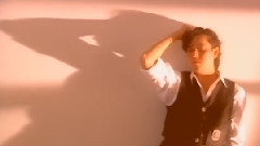 情凭谁来定错对