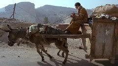 The Host Of Seraphim