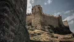 Return Of The She-King