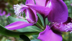 Giovanni Marradi - What Kind Of Fool Am I