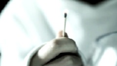 当这地球没有花