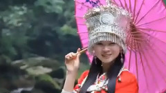 青青的青海我的爱 饭制版